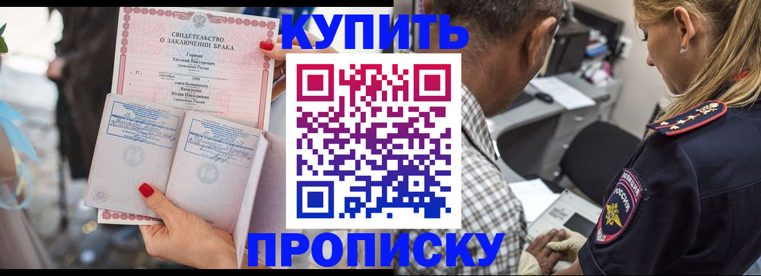 прописка законно в Михайлове